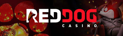 red dog casino